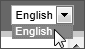 Language Selection